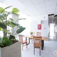 Khai Trương 100 Phòng Duplex Gác Cao, Rộng 30M2 Giá Chỉ Tử 5 Triệu5/ Tháng - Ngay Đh Văn Lang
