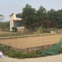 Lô Góc 2 Mặt Tiền 10,5X20,3M Full Thổ Cư Hoàng Xá, Thanh Thuỷ, Phú Thọ. Tiện Ích Xung Quanh Đầy Đủ