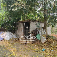 Quá Rẻ Chỉ 1.Xtỷ Sở Hữu Ngay Đất 558M2 (100M2 Ont) Tại Vân Hoà, Ba Vì, Hn. Nằm Sát Trục Chính Thôn