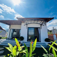 Bán Nhà Vườn Nghỉ Dưỡng Ven Đà Lạt Lưng Tựa Rừng Thông-Mặt Hướng View Phố Đẹp Mê Mẩn