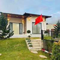 Bán Nhà Vườn Nghỉ Dưỡng Ven Đà Lạt Lưng Tựa Rừng Thông-Mặt Hướng View Phố Đẹp Mê Mẩn