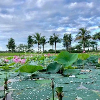Chính Chủ Gửi Bán Nhà Phố Park Riverside, 75M2, Nội Thất Mới, Đẹp, Gía 8.8 Tỉ, Sổ Hồng