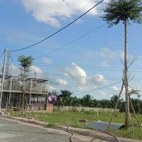 Xoay Vốn Bán Gấp Đất Đ.cao Triều Phát,Phường 8, Cà Mau 500 Triệu/140M2. Shr,Thổ Cư 100%