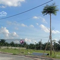 Xoay Vốn Bán Gấp Đất Đ.cao Triều Phát,Phường 8, Cà Mau 500 Triệu/140M2. Shr,Thổ Cư 100%