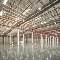 Cho Thuê Kho, Nhà Xưởng 5000-10.000M2 Tại Kcn Long Hậu, Cần Giuộc, Long An.