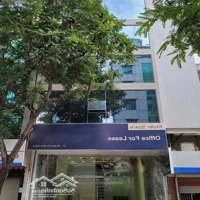 Chính Chủ Cho Thuê Tòa Nhà Mặt Tiền 27-29 Nam Kỳ Khởi Nghĩa, Q1, 8.2X25M, 2 Hầm 6 Lầu, 0908140491