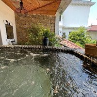 Bán Biệt Thự Khu Đô Thị Nam Thăng Long, Tây Hồ: Diện Tích 296M, Mặt Tiền 33M, 3 Tầng. Cực Hiếm