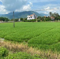 Chủ Kẹt Tiền Cần Bán Gấp Lô Đất Lúa Quy Hoạch Thổ Trung Tâm Tu Bông, Vạn Ninh