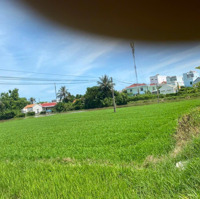 Chủ Kẹt Tiền Cần Bán Gấp Lô Đất Lúa Quy Hoạch Thổ Trung Tâm Tu Bông, Vạn Ninh