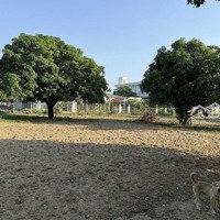 Chủ Hạ Giá Bán Đất Diện Tích 3355M2 Tại Tân Dân 2, Vạn Thắng, Vạn Ninh, Khánh Hòa