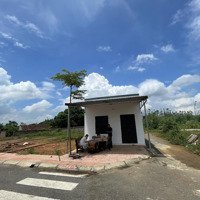 Cho Thuê Nr 1 Phòng Ngủ 2,5 Triệu, 83,2M2 Tại Khu 5, Tam Nông, Phú Thọ, Giá Ưu Đãi