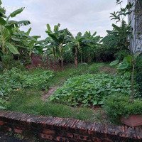 Bán Đất Tại Chùa Thông, 9 Tỷ, 100M2, Ph Trung Hưng, Sơn Tây, Hà Nội