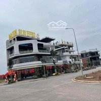 Đất Đâu Giá Tân Hưng-Lạng Giang-Bắc Giang