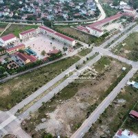 Đất Đâu Giá Tân Hưng-Lạng Giang-Bắc Giang