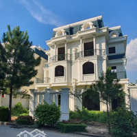 Bán Biệt Thự 200M2 Đường 13.5M Căn Đẹp Không Lỗi Chỉ 8X Triệu/M2