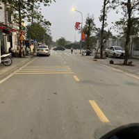 Bán Đất Tàm Xá Gần Vin Tàm Xá, Vin Cổ Loa - Cầu Nhật Tân - Ngay Đường 40M - 90M2 - Giá Đầu Tư