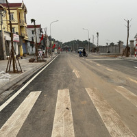 Bán Đất Tàm Xá Gần Vin Tàm Xá, Vin Cổ Loa - Cầu Nhật Tân - Ngay Đường 40M - 90M2 - Giá Đầu Tư