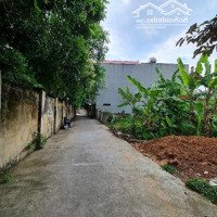 Bán Đất Giá Cực Chất Tại Ngõ 35 Chùa Thông, Trung Hưng, Sơn Tây, Hà Nội, 8 Tỷ, 90M2