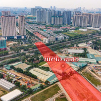 Hàng Hot Cần Bán Gấp 150M2 Đất Dịch Vụ An Thọ Sát Đường Vành Đai 3.5, Giá Cực Tốt Chỉ 140 Triệu/M2