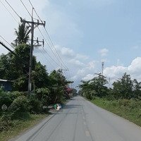 Cần Bán Đấtmặt Tiềnnguyễn Xiển, Trường Thạnh, Q9, Hcm. 1.3 Tỷ/120M2, Shr