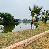 Cắt Lỗ 300 Triệu Bán Mảnh Đất Mặt Trục Chính Kinh Doanh Cạnh Sân Golf Đồng Mô, Khu Đô Thị Thiên Mã.