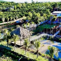 Bán Căn Homestay Tâm Huyết Tại Tà Nung Đà Lạt Thuận Tiện Nghỉ Dưỡng Di Chuyển Đến Trung Tâm