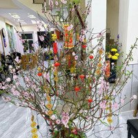 Nhà 4 Tầng Mặt Đường Phương Lưu, Đông Hải 1, Hải An