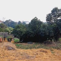 Bán 1000M2 100M2 Thổ Cư Bám Đường Liên Thôn 25M, 2 Oto Tránh Gần Làng Cổ Đường Lâm, Ba Vì Hn, 3,Xtỷ
