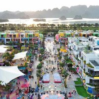 Mở Bán Shophouse Flamingo Golden Hill View Hồ Tam Chúc Vị Trí Đắc Địa