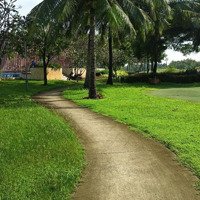 Bán Nhà Phố Park Riverside Trục Chính Đường 16M, Nhà Thô Giai Đoạn 1 Sổ Cá Nhân, 5X15 - 8,5 Tỷ Tl