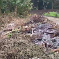 Bán Đất Lô Góc 47.3M2 Tại Hát Môn Tam Thuấn Phúc Thọ