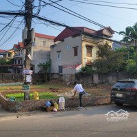 Bán Đất Tại Tỉnh Lộ 312, Tam Đồng, Mê Linh, Hà Nội, 291.2M2 Giá Siêu Hời