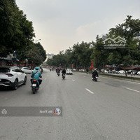 Bán Nhà Mp Nguyễn Văn Huyên Cầu Giấy 173/300 M Xmặt Tiền12 M X Giá Bán 45 Tỷ. Kinh Doanh Mọi Lĩnh Vực.