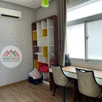 Cho Thuê Căn Góc Công Viên Khu Nam Viên Phú Mỹ Hưng Q7 4 Phòng Ngủ1Plv Full Nt
