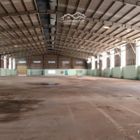 Cho Thuê Kho Xưởng 1000M2; 1500M2; 2000M2 Trường Thọ, Thủ Đức Gần Cảng Phước Long, Rạch Chiếc
