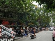 Mặt Bằng Kinh Doanh 63M2X3 Tầng + 1 Tum, Mặt Tiền 5M Phố Phùng Hưng, Kinh Doanh Mọi Mô Hình
