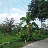 Ra Đất Đẹp 100M2 Tại Bàu Bàng, Bd Chỉ 600 Triệu, Shr