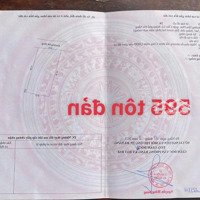 Chủ Bán Lô Đất Kiệt Tôn Đản, Hòa Phát, Cẩm Lệ, Phù Hợp Xây Nhà Định Cư