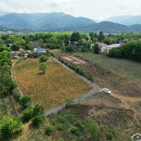 Bán Đất 527M2 Tại Sông Hinh, Phú Yên, Giá Ưu Đãi 260 Triệu