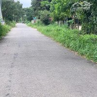 Bán Đất Đg Nhựa 8M Kp4 Hắc Dịch Tp. Phú Mỹ, Dt: 11X25M, Giá Bán 2,5 Tỷ, Khu Dân Cư Đông Giá Quá Tốt