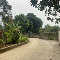 Chủ Cần Tiền Cắt Lỗ Sâu Lô Đất 1068M Tại Thôn Gò Mè Xã Cư Yên Huyện Lương Sơn Hb