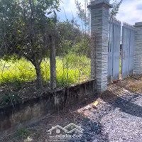 Bán Đất 3110 M2 650M2 Thổ Cư Gần Khu Công Nghiệp Gò Dầu 9 Tỷ