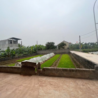 Bán Đất Tại Xã Hoàng Diệu, Chương Mỹ, Hà Nội, Giá Siêu Hời 3,2 Tỷ, 200M2