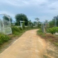 Bán Lô Đất 1.000M2 Tại Thôn Suối Cau, Xã Khánh Đông, Huyện Khánh Vĩnh