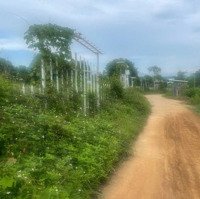 Bán Lô Đất 1.000M2 Tại Thôn Suối Cau, Xã Khánh Đông, Huyện Khánh Vĩnh