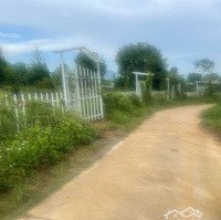 Bán Lô Đất 1.000M2 Tại Thôn Suối Cau, Xã Khánh Đông, Huyện Khánh Vĩnh