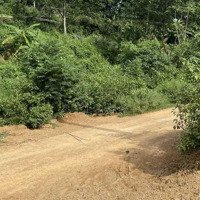 Bán Gấp 2.000M2 Đất Xã Sông Cầu, Gần Ql27C, Huyện Khánh Vĩnh