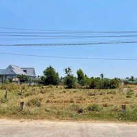 Chủ Gửi Bán Gấp Nền Thổ Cư 178M2 Đường Trước Đất 2 Xe Tải Tránh Nhau Xã Long An- Cần Giuộc Gần Ql50
