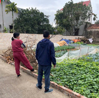 Bán Đất Tại Sen Phương, Phúc Thọ, Hà Nội, 46M2, Pháp Lý Đầy Đủ, Chỉ 1,104 Tỷ