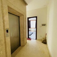 Bán Rẽ Biệt Thự Ngộp 10X20M Căn Góc 5 Tầng Có Thang Máy Khu Vip Himlam Q7 Chỉ 51 Tỷ